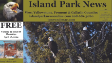 Island Park News