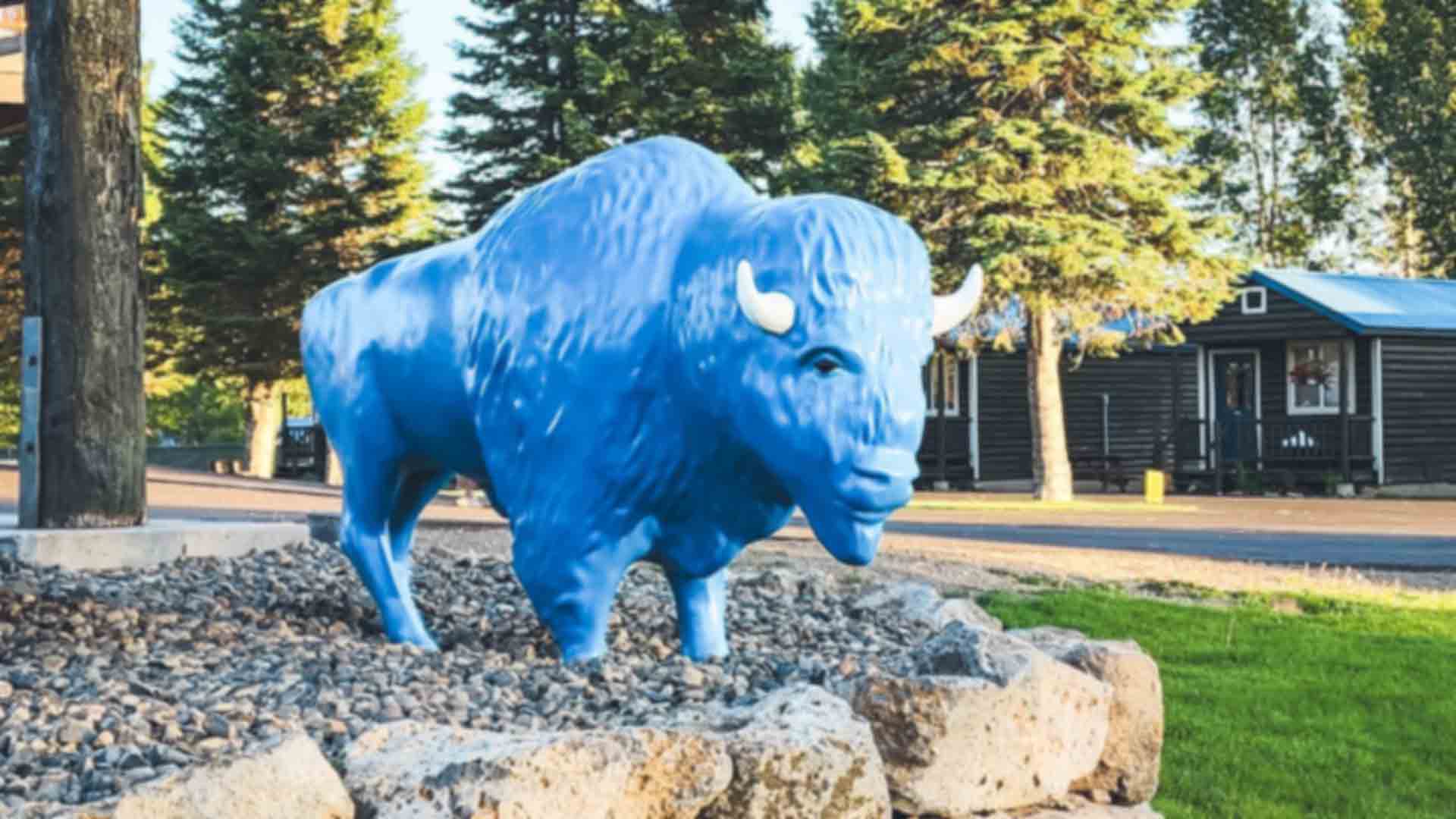 Blue Buffalo Resort