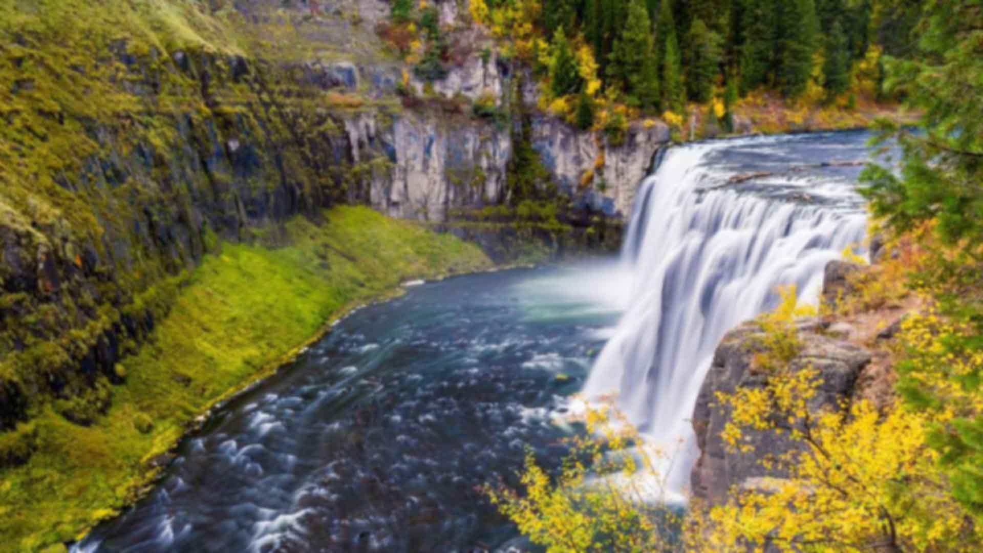 Casago Yellowstone