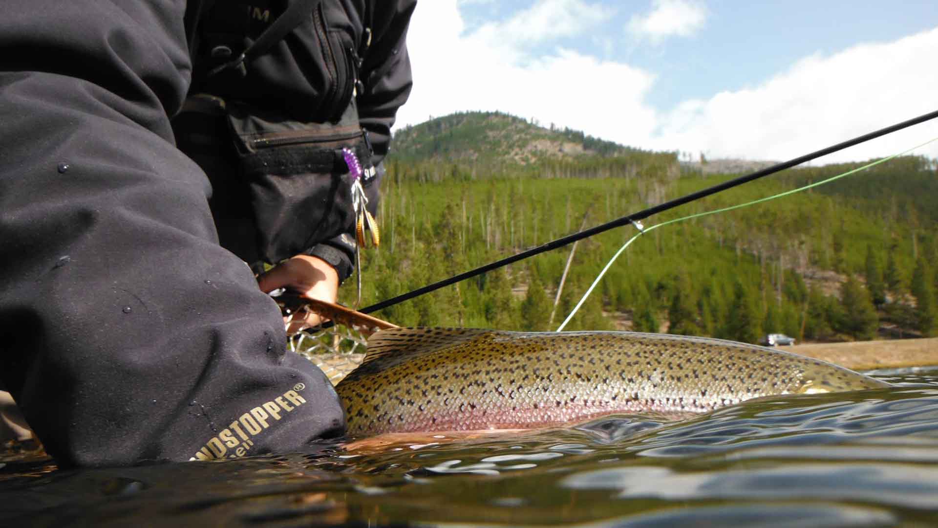 Yellowstone Fly Shop