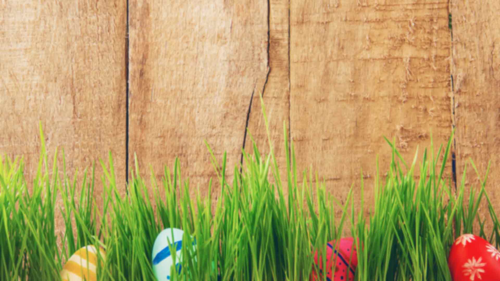 Island Park Easter Egg Hunt