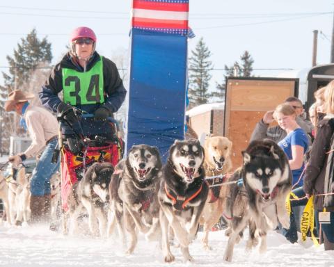 American Dog Derby