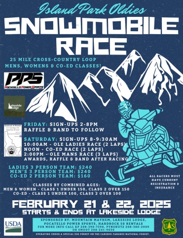 Snowmobile Race