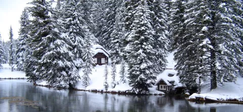 Big Springs & Johnny Sack Cabin