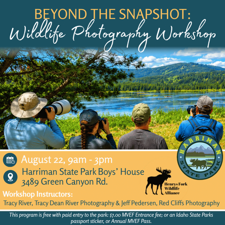 Beyond the Snapshot: Wildlife Photography Workshop