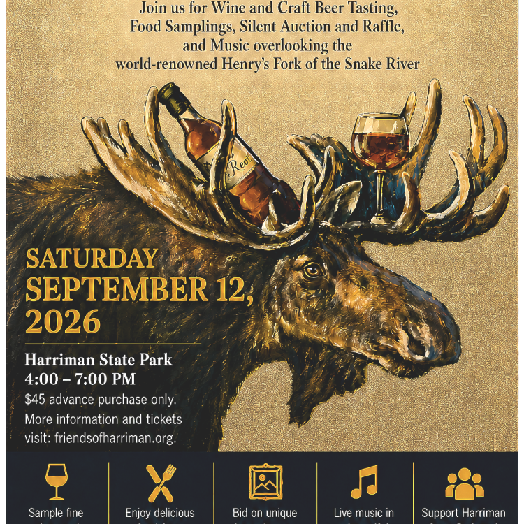 12th Annual Wine in the Woods