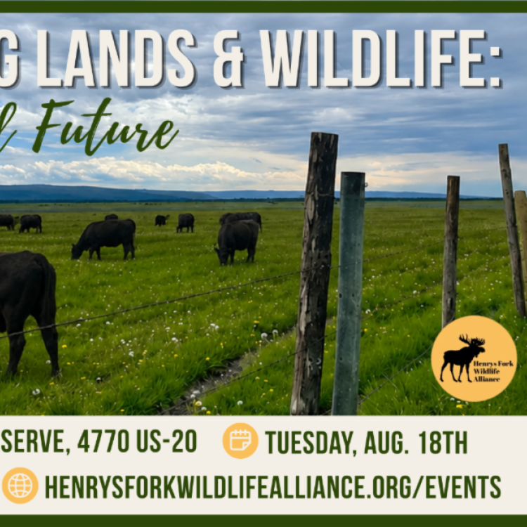 Working Lands & Wildlife: A Shared Future