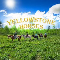 Yellowstone Horses