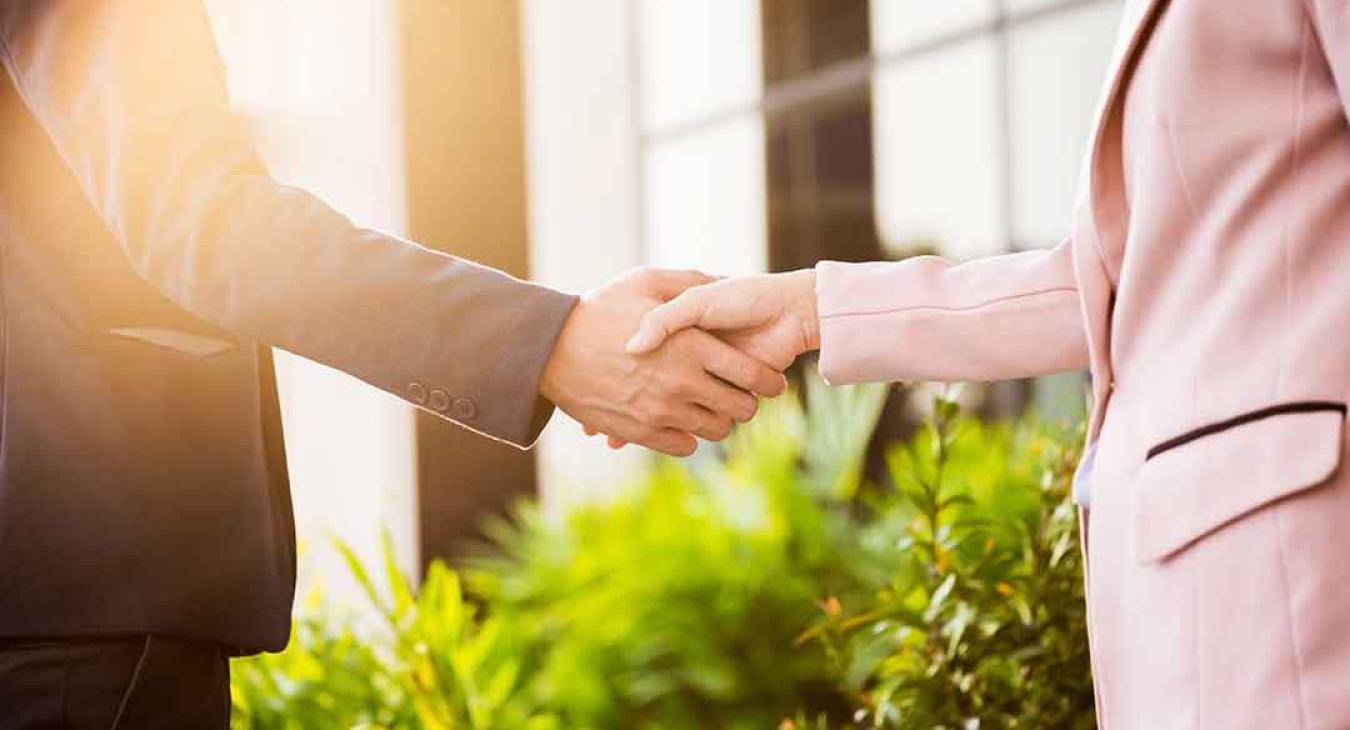 Executive Director Job Opening