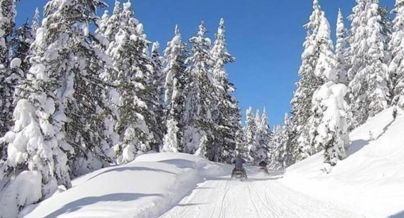 Island Park Back Country Rentals