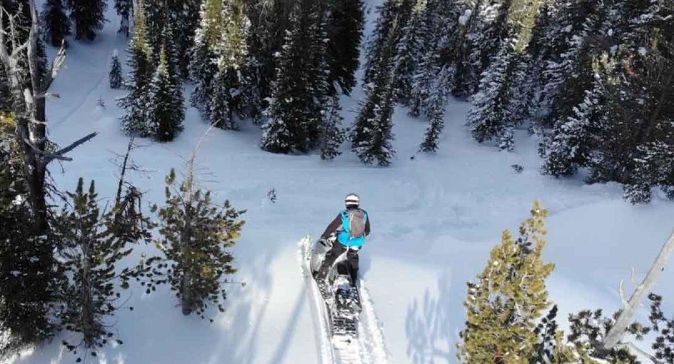 Island Park Back Country Rentals