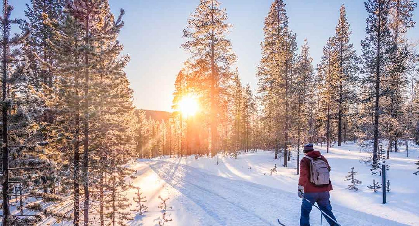 Cross Country Skiing in Harriman State Park, Idaho