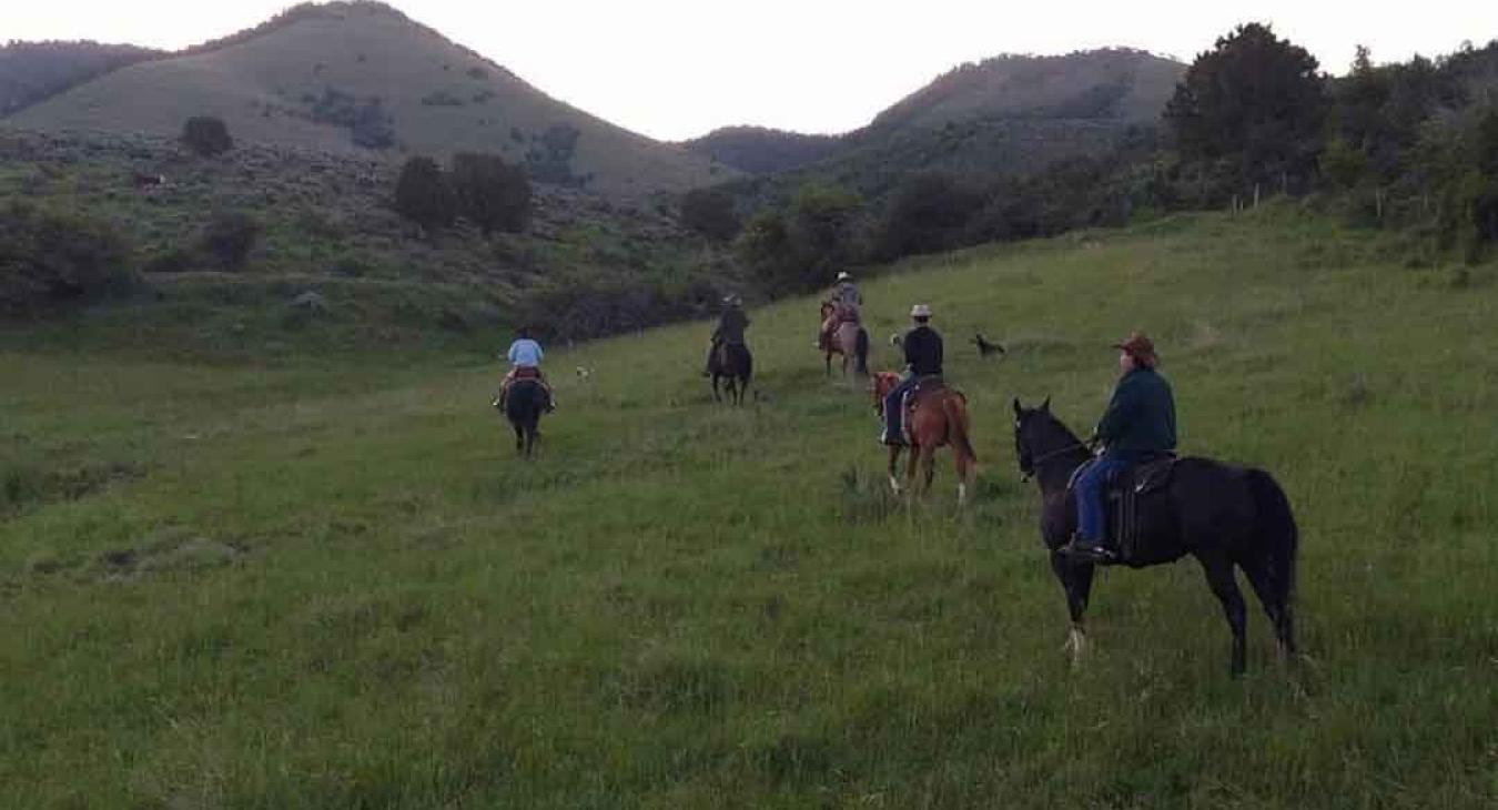 Group horseback ride through open meadow with mountain views at Haviland's Old West Adventures Island Park Idaho