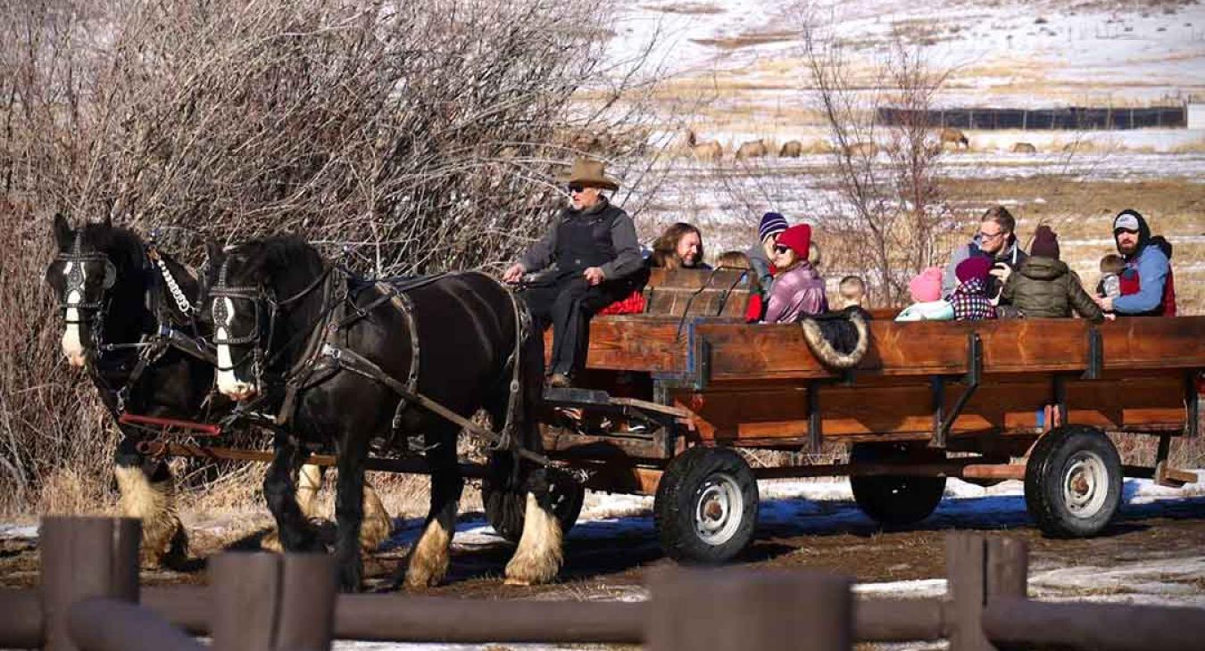 Horse-drawn wagon ride with family guests in winter at Haviland's Old West Adventures Island Park Idaho