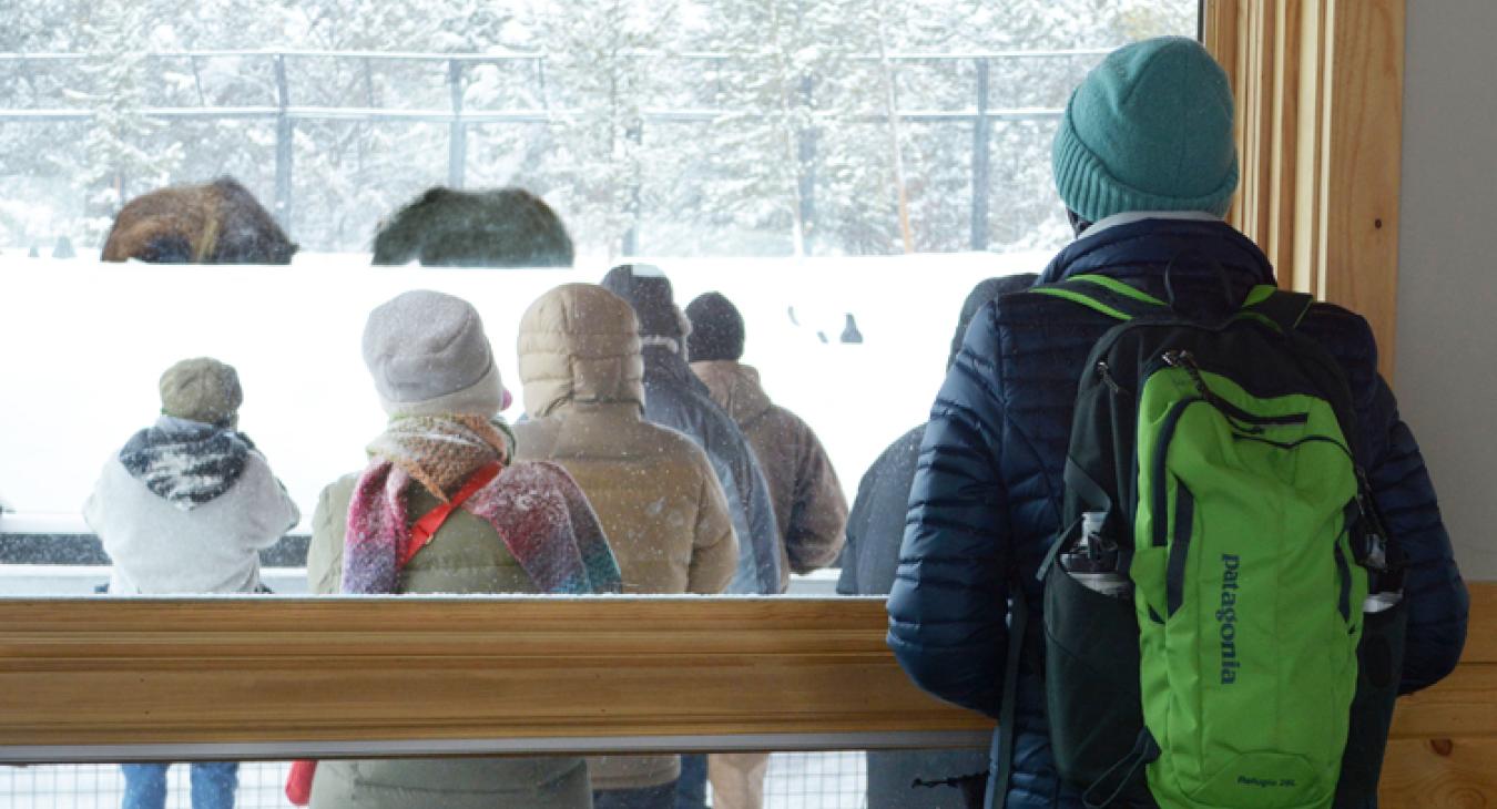 Warming hut at the Grizzly and Wolf Discovery Center in West Yellowstone Montana winter