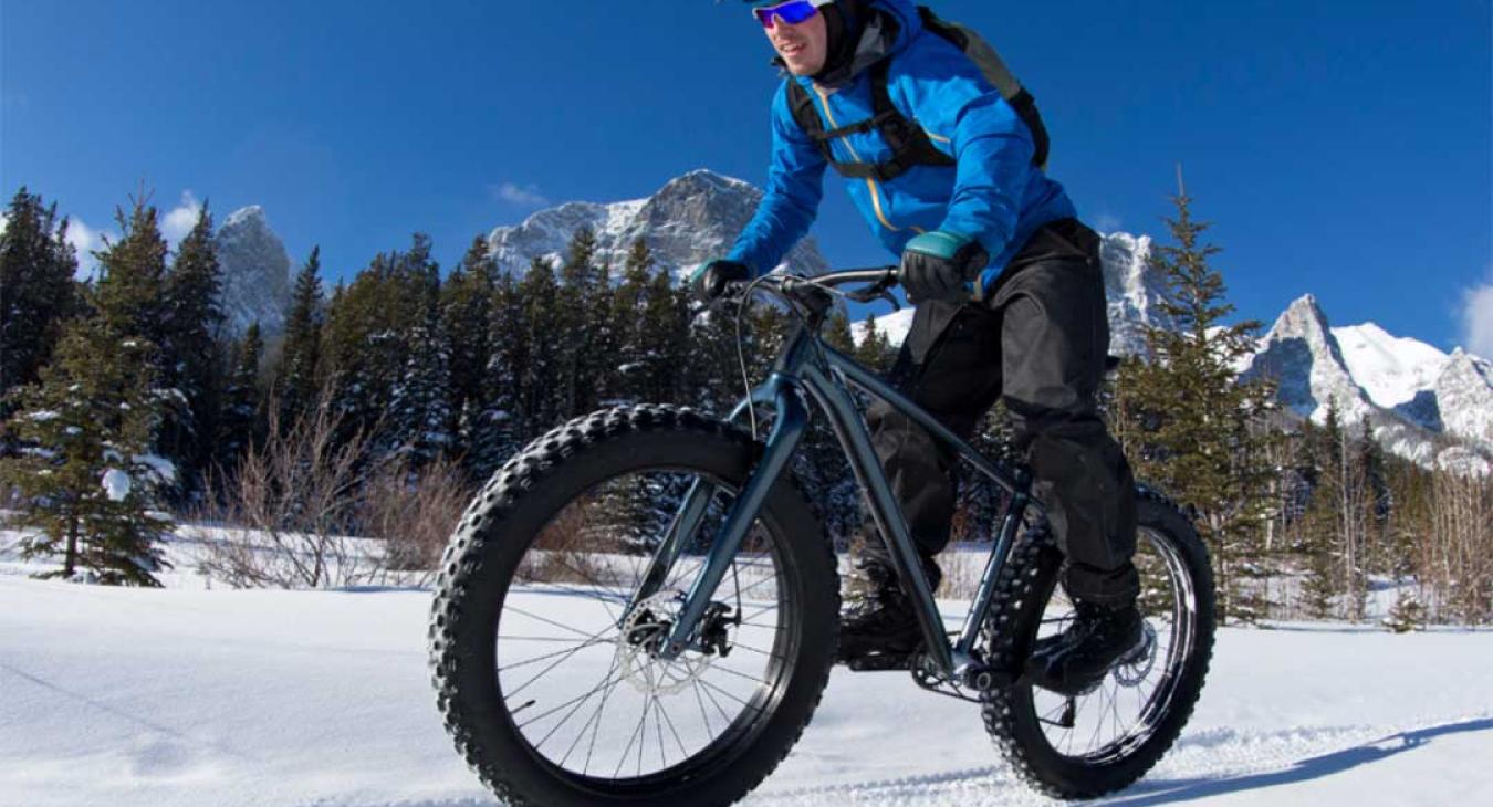 InstaGear Bike Rentals