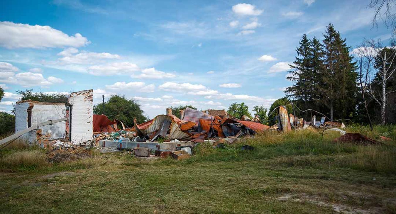 Messy yard needing junk removal services.