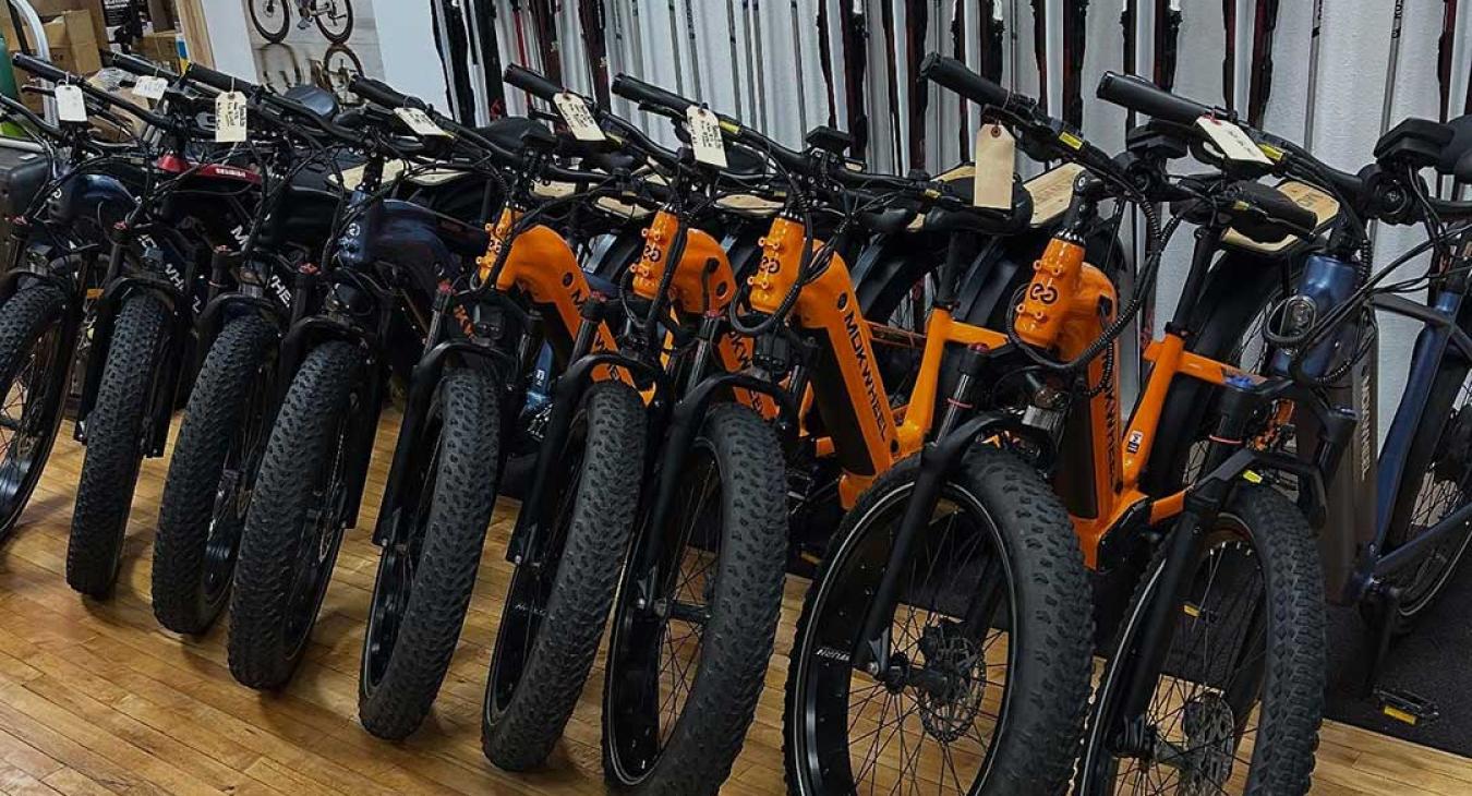 Mountain Bike Rentals