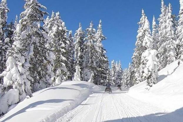 Island Park Back Country Rentals