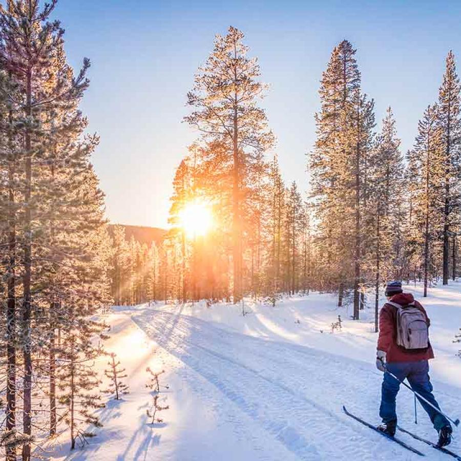 Cross Country Skiing in Harriman State Park, Idaho