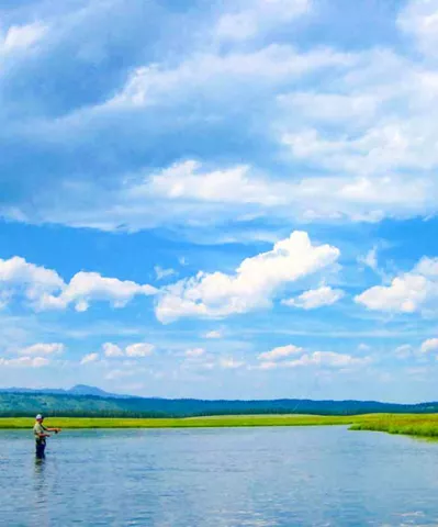Fly Fishing Island Park